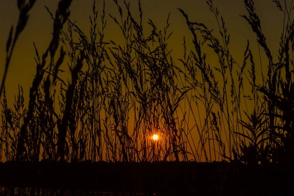 Puesta de sol en el lago. Buenas noches. — Foto de Stock