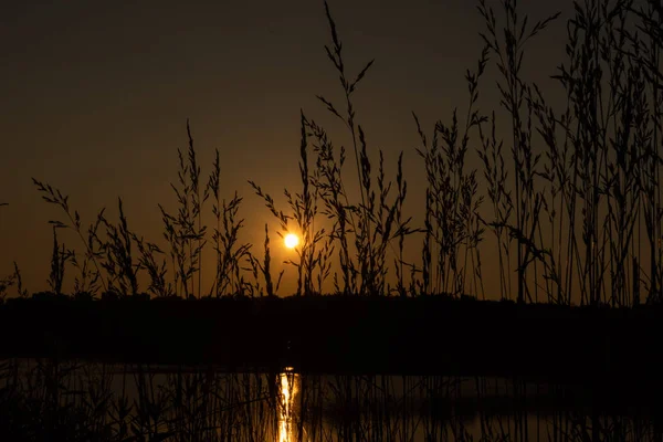 Solnedgang ved søen. Godaften - Stock-foto