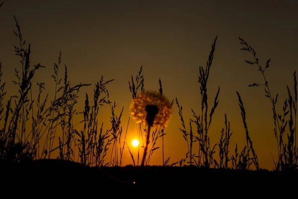 Puesta de sol en el lago. Buenas noches. — Foto de Stock