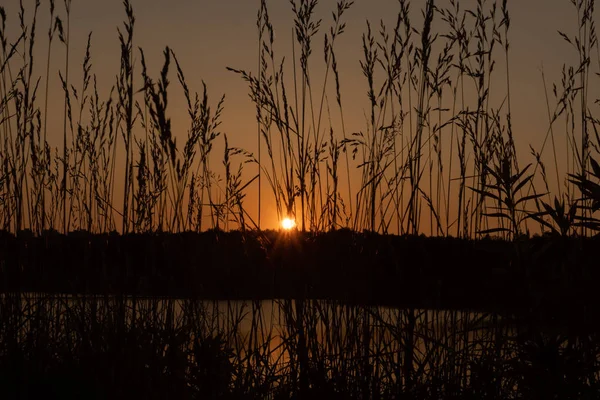 Solnedgang ved søen. Godaften - Stock-foto