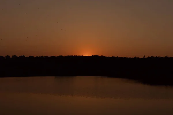 Solnedgang ved søen. Godaften - Stock-foto