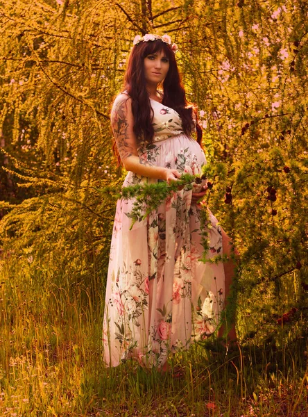 Imágenes Del Embarazo Retrato Embarazada — Foto de Stock