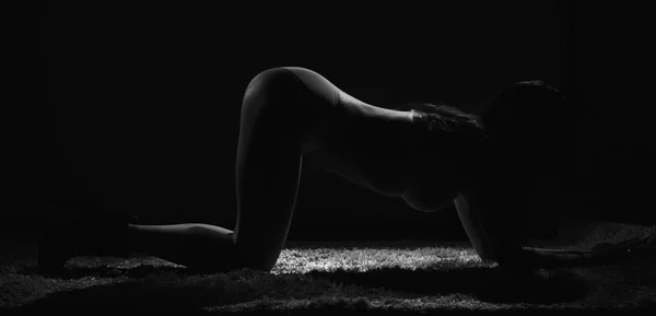 Bir kadının resimleri. Kadın portresi. Seksi kadın.       