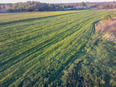 Bytom şehrinin havadan görünüşü. Dron.