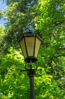 Pszczyna 'daki saray parkı. Harika aile yürüyüşleri için güzel bir ortam.