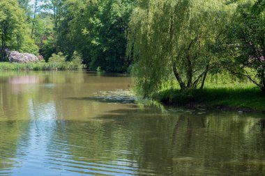 Pszczyna 'daki saray parkı. Harika aile yürüyüşleri için güzel bir ortam.