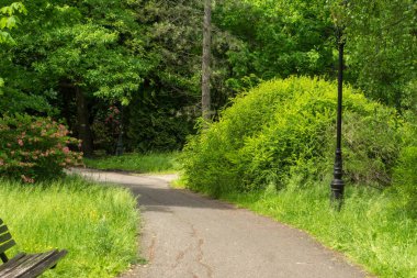 Pszczyna 'daki saray parkı. Harika aile yürüyüşleri için güzel bir ortam.