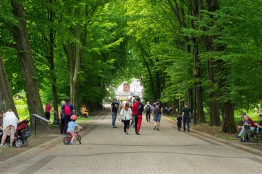 Pszczyna 'daki saray parkı. Harika aile yürüyüşleri için güzel bir ortam.