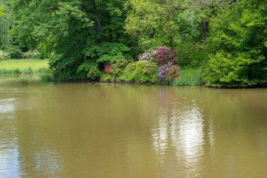 Pszczyna 'daki saray parkı. Harika aile yürüyüşleri için güzel bir ortam.