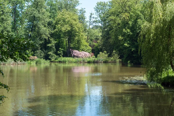 Parque Palácio Pszczyna Bela Envolvente Para Grandes Passeios Família — Fotografia de Stock