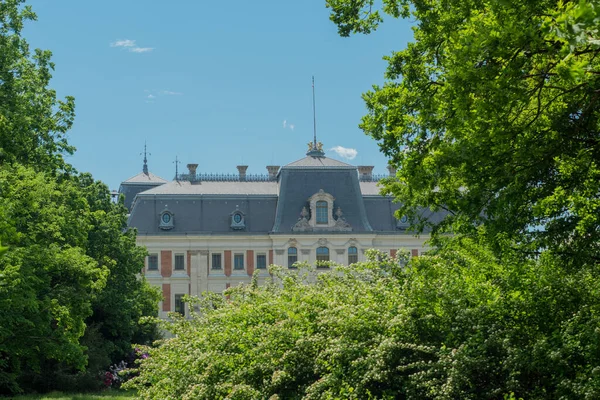 Pszczyna 'daki saray parkı. Harika aile yürüyüşleri için güzel bir ortam.