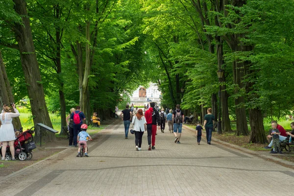 Palace Park Pszczyna Hermoso Entorno Para Grandes Paseos Familia —  Fotos de Stock