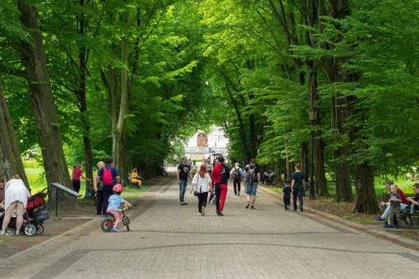 Parque Palácio Pszczyna Bela Envolvente Para Grandes Passeios Família — Fotografia de Stock