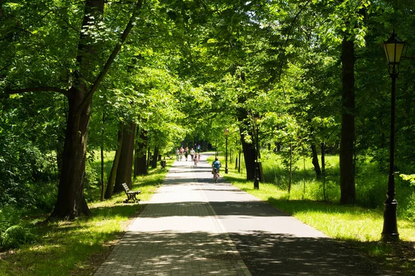 Παλάτι Πάρκο Στην Pszczyna Όμορφο Περιβάλλον Για Μεγάλες Οικογενειακές Βόλτες — Φωτογραφία Αρχείου