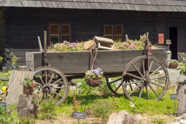Polonya, Pszczyna 6 Haziran 2020 Skansen - Pszczyna Köyü Çiftliği. Süper