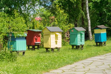 Polonya, Pszczyna 6 Haziran 2020 Skansen - Pszczyna Köyü Çiftliği. Süper