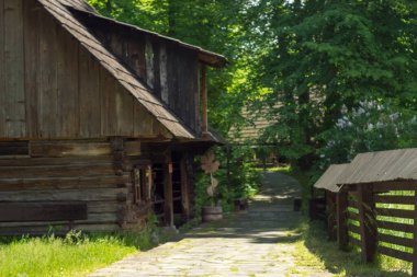 Polonya, Pszczyna 6 Haziran 2020 Skansen - Pszczyna Köyü Çiftliği. Süper