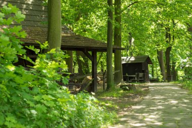 Polonya, Pszczyna 6 Haziran 2020 Skansen - Pszczyna Köyü Çiftliği. Süper