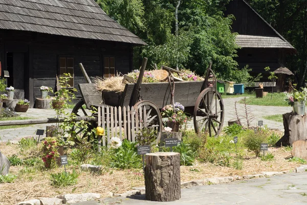 Polônia Pszczyna Junho 2020 Skansen Fazenda Vila Pszczyna Super — Fotografia de Stock