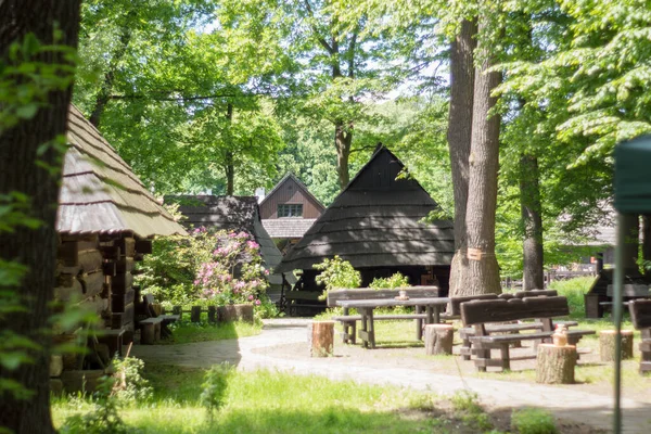 Polônia Pszczyna Junho 2020 Skansen Fazenda Vila Pszczyna Super — Fotografia de Stock