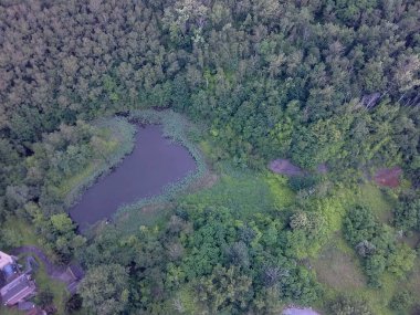 Üst manzara, insansız hava aracı ya da hava aracından kırsal bölgelere evler, yollar, çayırlar ve yeşil alanlar..