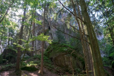 Çek Cumhuriyeti, Adrspach 'taki Rock kasabası.
