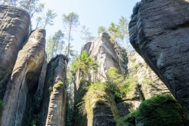 Çek Cumhuriyeti, Adrspach 'taki Rock kasabası.