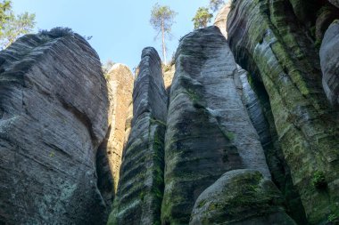 Çek Cumhuriyeti, Adrspach 'taki Rock kasabası.