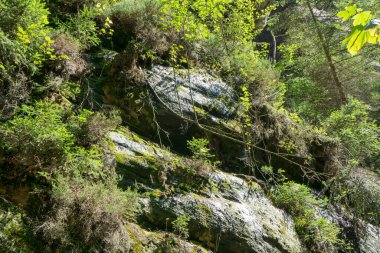 Çek Cumhuriyeti, Adrspach 'taki Rock kasabası.