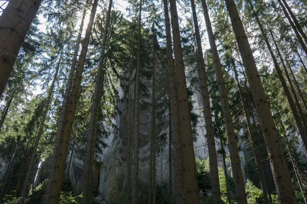 Felsenstadt Adrspach Tschechien — Stockfoto