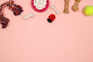 Köpek aksesuarları, gıda ve oyuncak pembe bir arka plan üzerinde. Düz yatıyordu. Üstten görünüm.