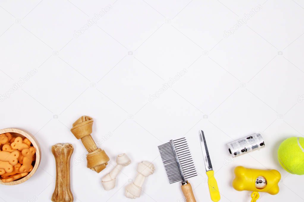 Pet accessories, food and toy on white background. Flat lay. Top view.