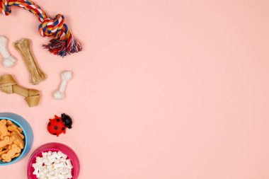 Köpek aksesuarları, gıda ve oyuncak pembe bir arka plan üzerinde. Düz yatıyordu. Üstten görünüm.