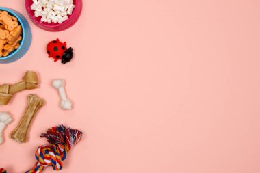 Köpek aksesuarları, gıda ve oyuncak pembe bir arka plan üzerinde. Düz yatıyordu. Üstten görünüm.