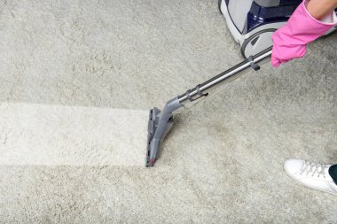 cropped shot of person cleaning white carpet with vacuum cleaner 