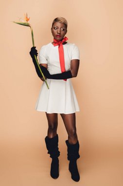 siyah eldiven moda afro-amerikan kız bej üzerinde Strelitzia çiçek ile poz