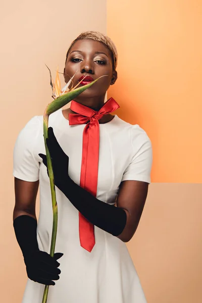 Elegante Mujer Afroamericana Guantes Negros Posando Con Strelitzia Flor Beige — Foto de Stock