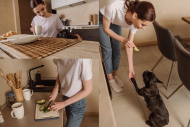 Avokado kesen ve mutfakta tatlı Fransız bulldogunu besleyen kız kolajı. 