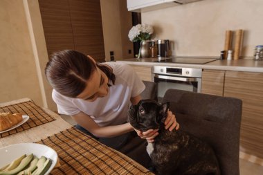 Genç bir kadın masadaki lezzetli kahvaltının yanında buldog 'a dokunuyor. 