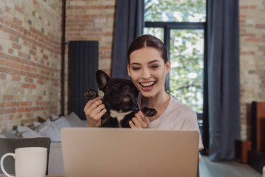 Kollarında mutlu bir kız Fransız bulldog 'u tutuyor ve görüntülü sohbet ediyor. 