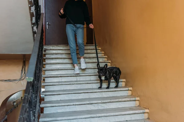 Fransız Bulldog Köpeğiyle Yürürken Köpek Tasması Tutan Bir Kız Görüntüsü — Stok fotoğraf