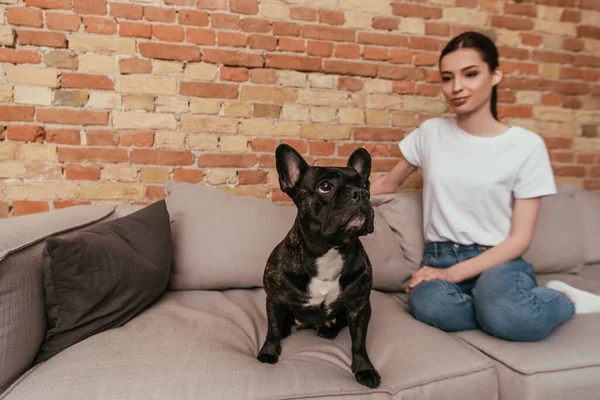 Çekici Bir Kızın Yanındaki Kanepede Oturan Sevimli Buldog Seçici Odağı — Stok fotoğraf