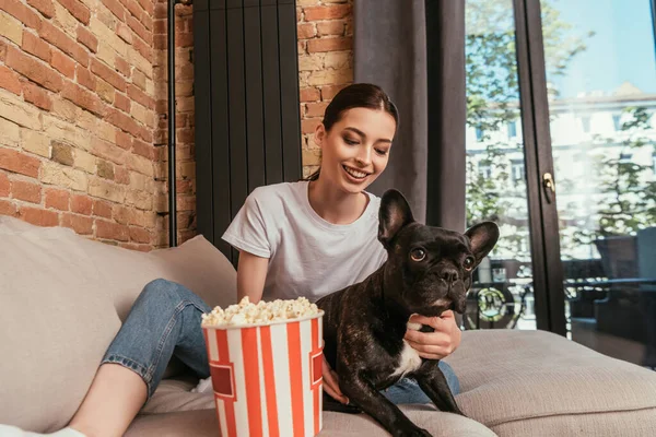 Cheerful Girl Sitting Sofa Popcorn Bucket Touching Cute French Bulldog — Stock Photo, Image