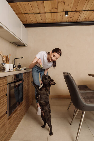 cheerful young woman holding sliced avocado near cute french bulldog in kitchen 
