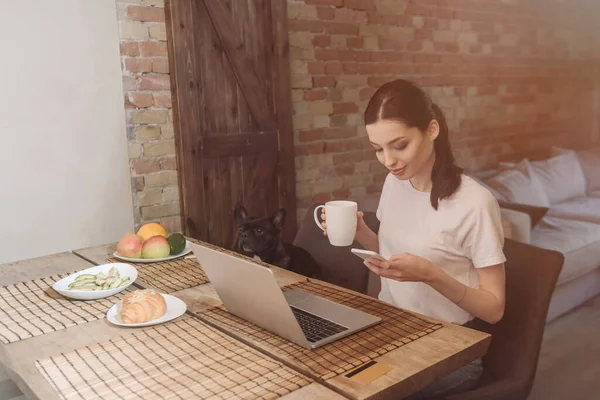 Atractivo Freelancer Usando Smartphone Cerca Laptop Desayuno Bulldog Francés — Foto de Stock