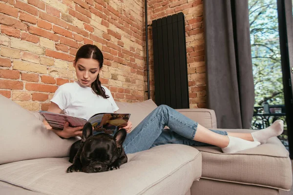 Gyönyörű Fiatal Olvasás Magazin Közelében Fekete Francia Bulldog — Stock Fotó