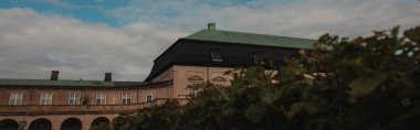 Kopenhag, Danimarka 'da arka planda bulutlu gökyüzü olan çalılıkların panoramik görüntüsü ve bina cephesi 