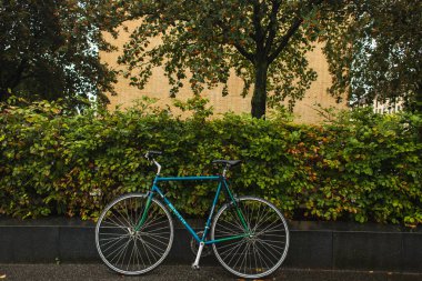 Blue bicycle near green bushes and trees on urban street  clipart