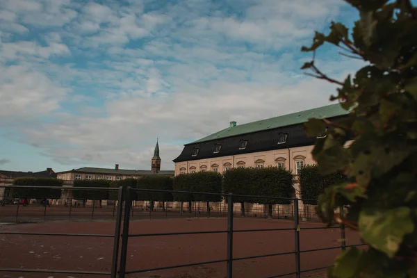 Selective Focus Trees Facades Buildings Copenhagen Denmark — Stock Photo, Image