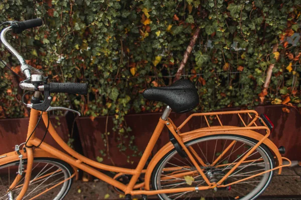 Våt Orange Cykel Nära Buskar Urban Gata — Stockfoto